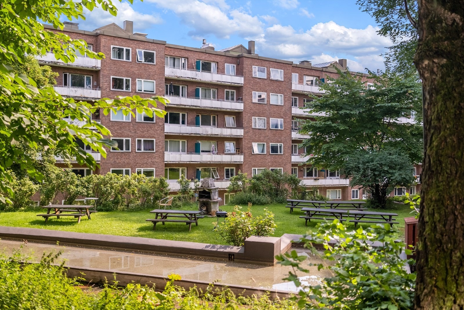 Bakgården er pent opparbeidet med plen, internveier og beplanting. Galleribilde