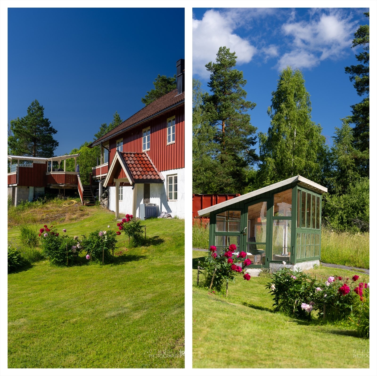 Bier trives med masse markblomster, timian og lavendel. Honningen som høstes er nydelig Galleribilde