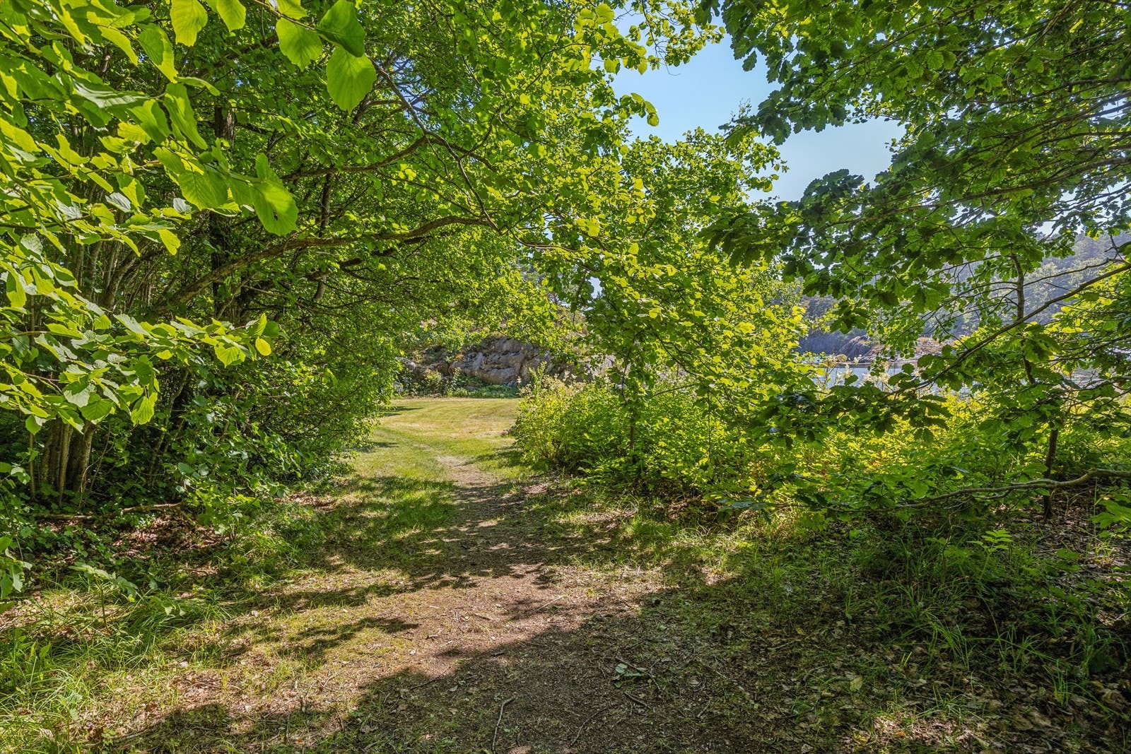Siste del av stien før du kommer til hytten. Fra parkeringsplassen er det ca. 150 m. Galleribilde