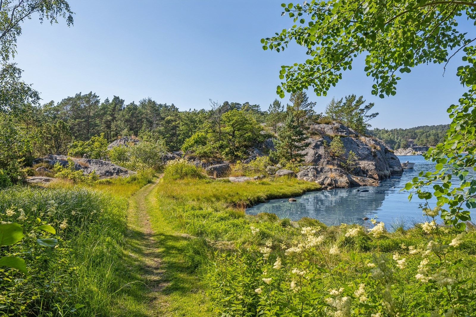 Stien ut til eiendommen. Galleribilde