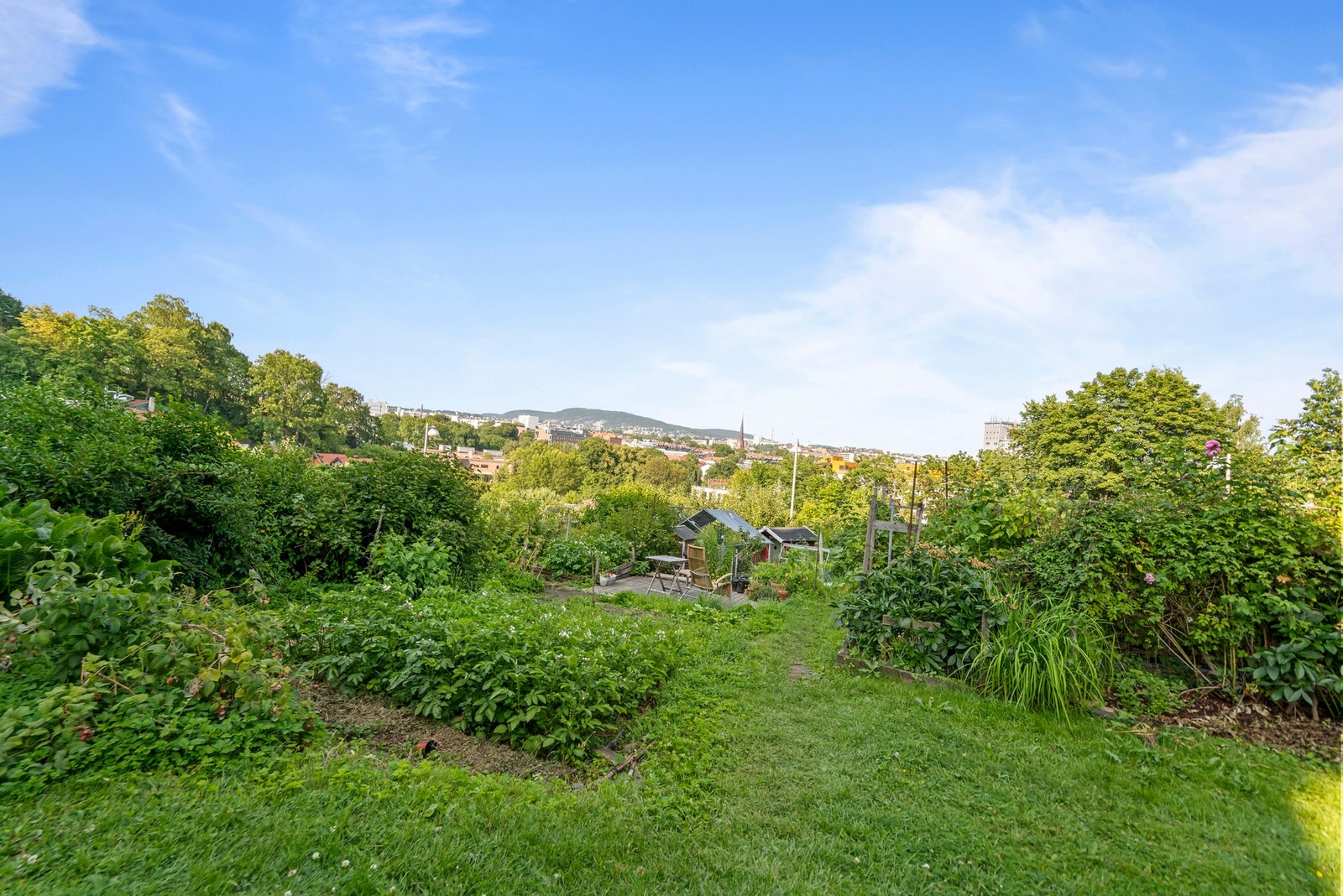 Idyllisk beliggenhet midt i byen. Galleribilde
