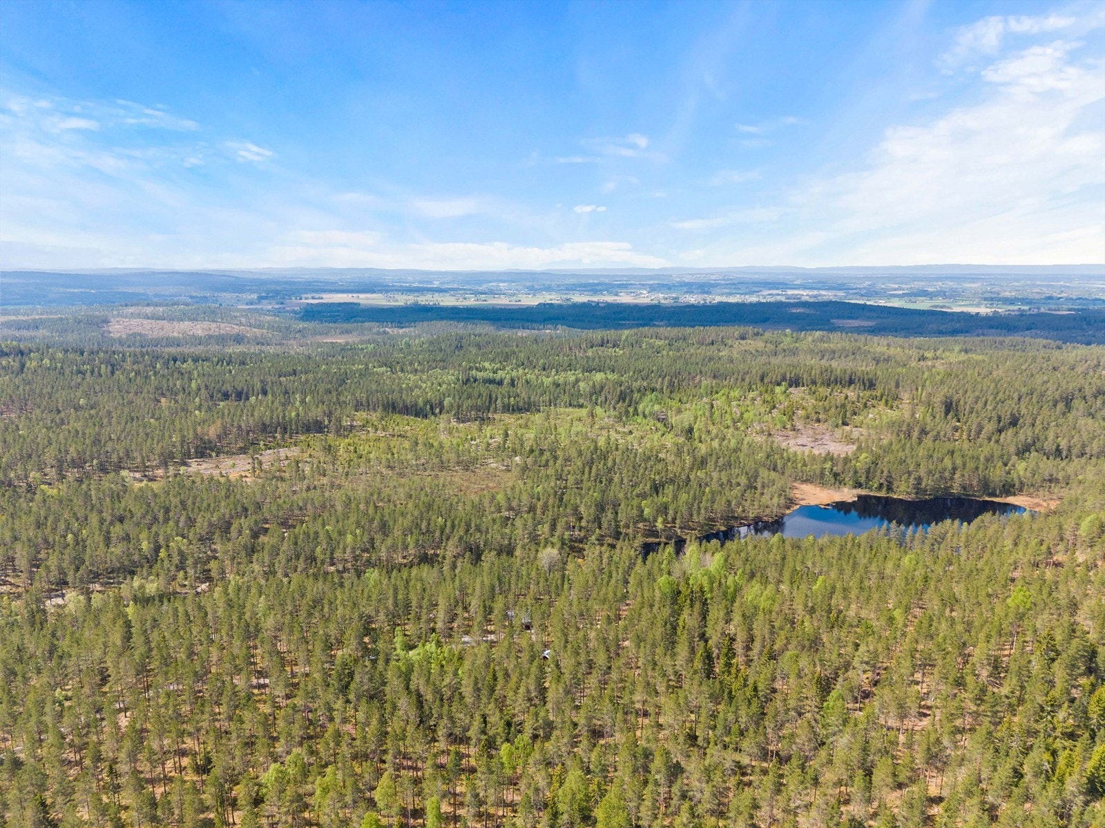 Skogen byr på gode muligheter for jakt, friluftsliv og rekreasjon. Galleribilde