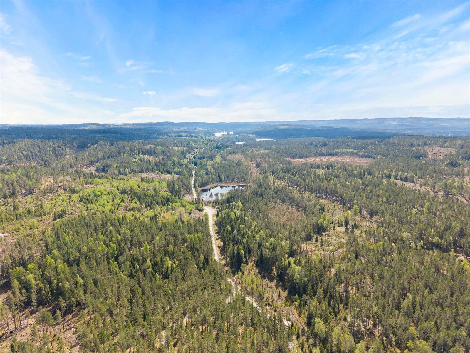 Til eiendommen hører det med betydelige skogarealer. Galleribilde