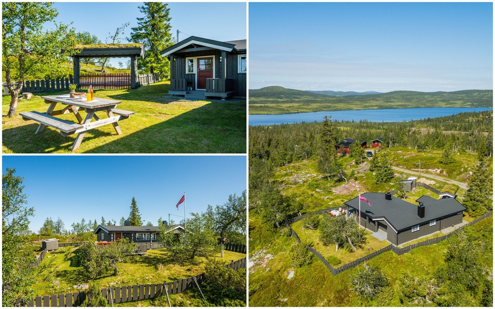 Velkommen til Ringsakerfjellet og Grunnåsen 34! Fotograf: Reidar Valberg. Galleribilde