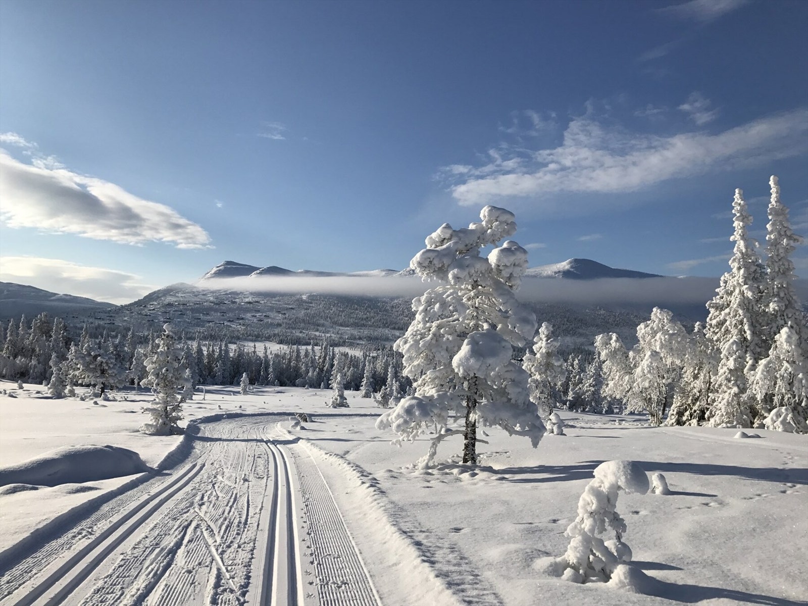 Skiløyper med hyttefeltet i bakgrunnen. Galleribilde