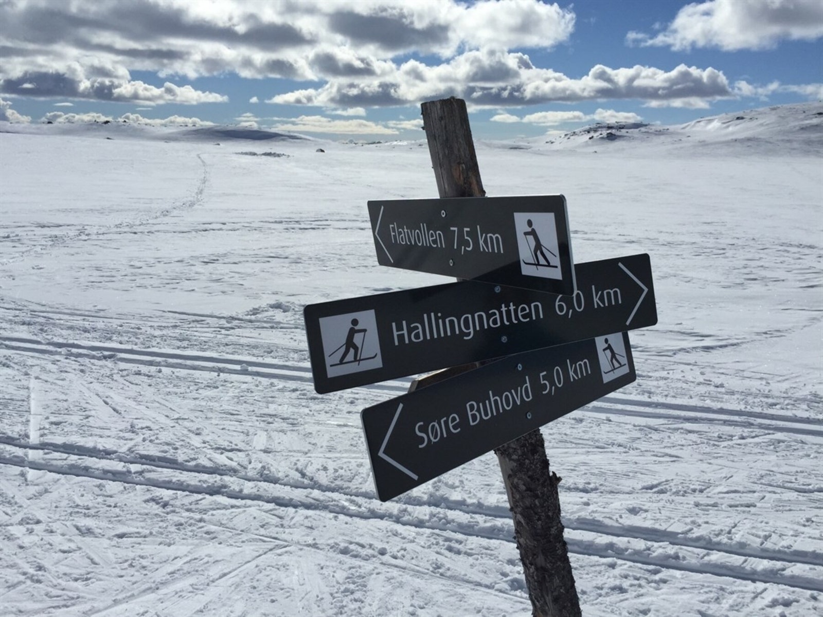 Mange rundløyper mot blant annet Helgesetvatnet, Reinsjøfjell, Haglebu og Imle. Galleribilde