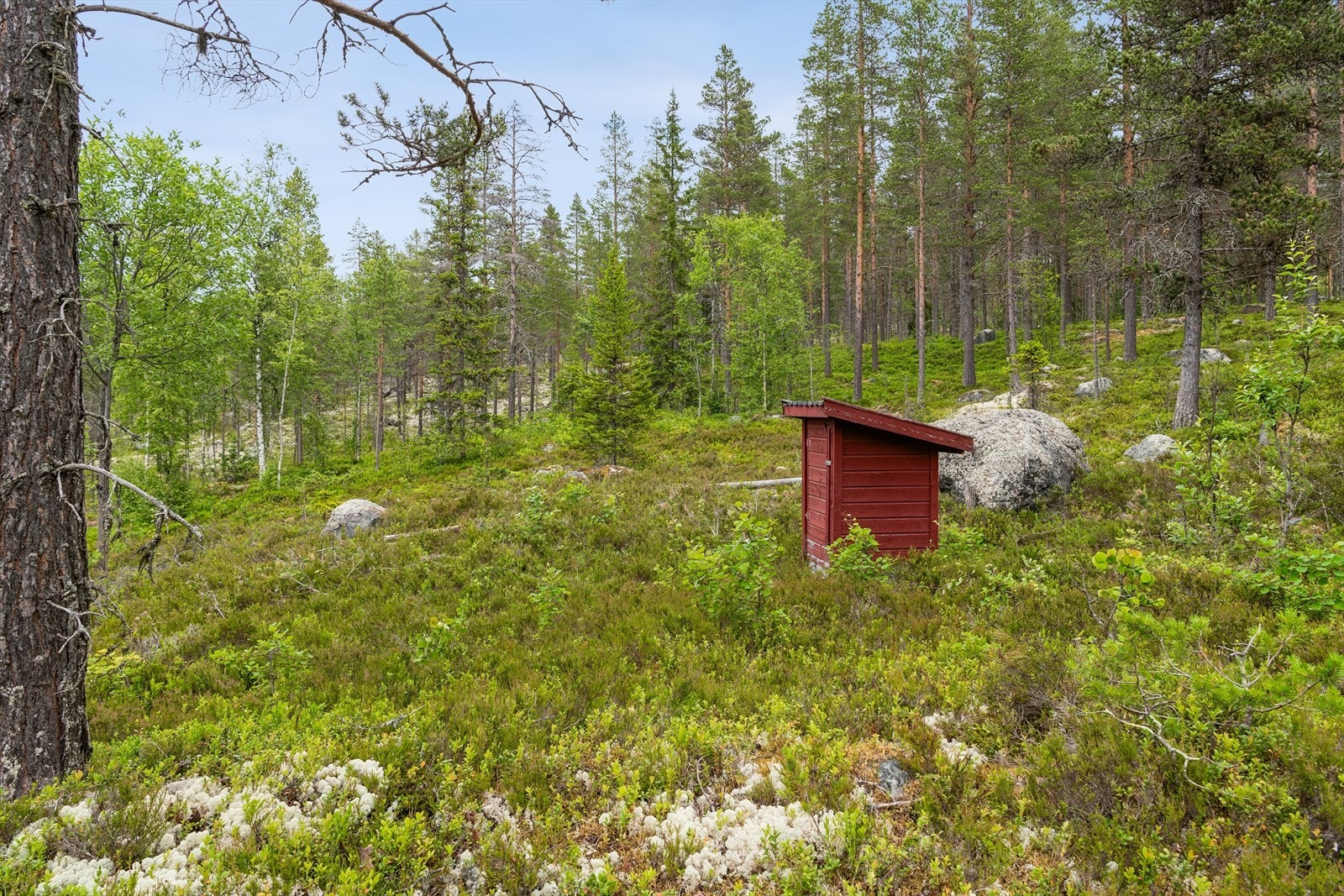 Ute Galleribilde