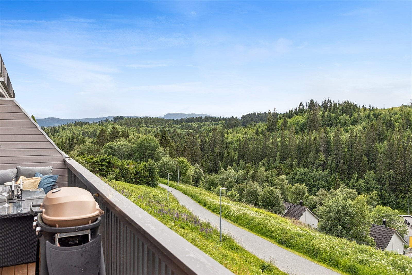 Utsikt mot grøntareal og marka fra veranda. Galleribilde