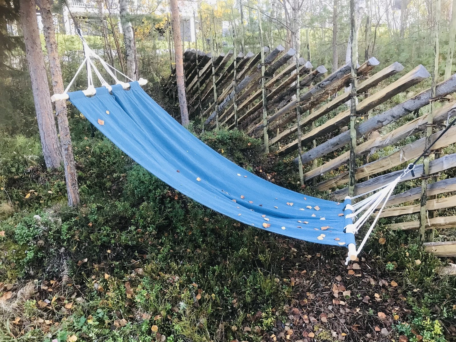 Tomten grenser mot friareal og gir en følelse av å være tett på naturen. (Privat bilde) Galleribilde