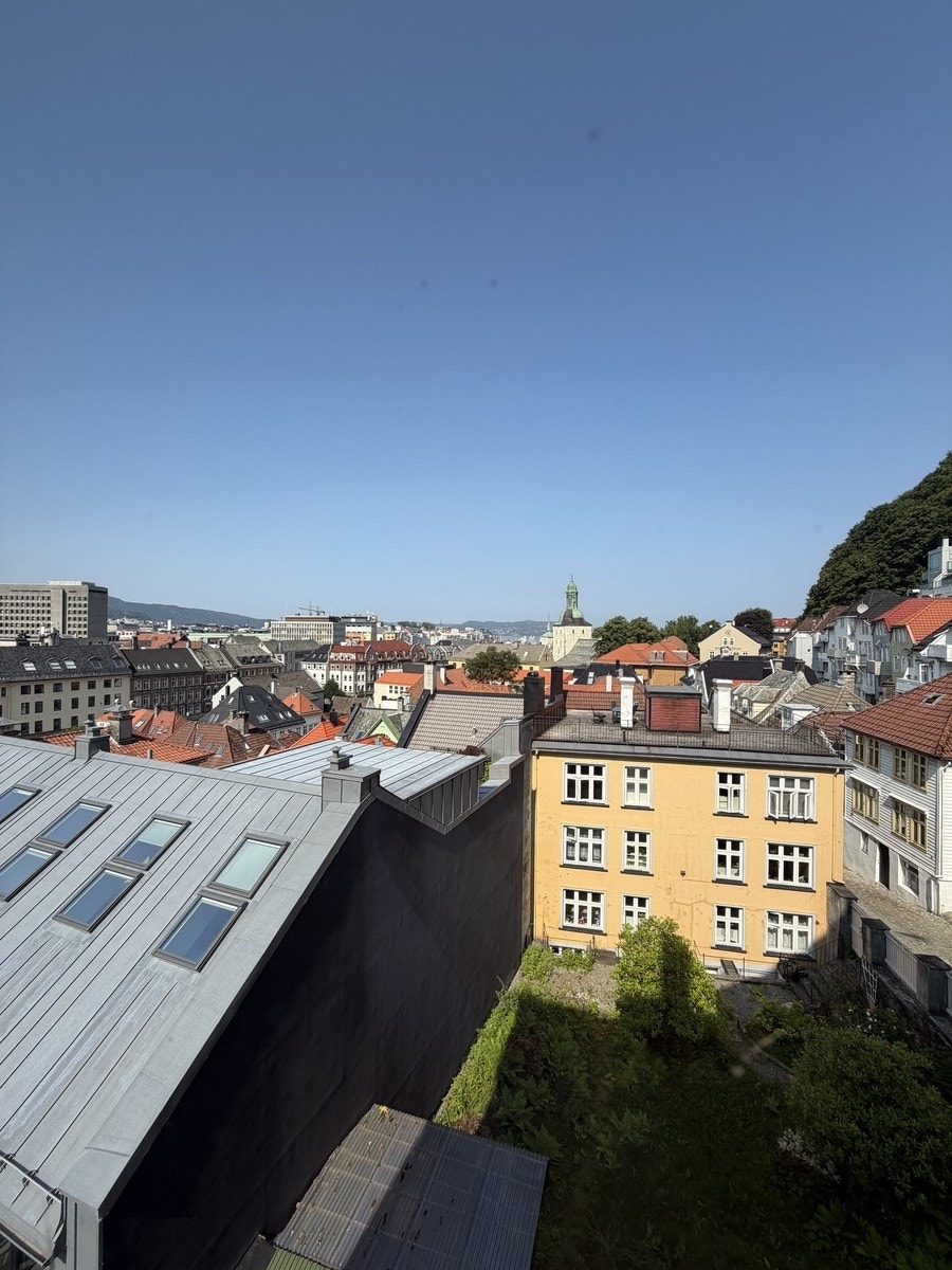Utsikt mot Vest Galleribilde