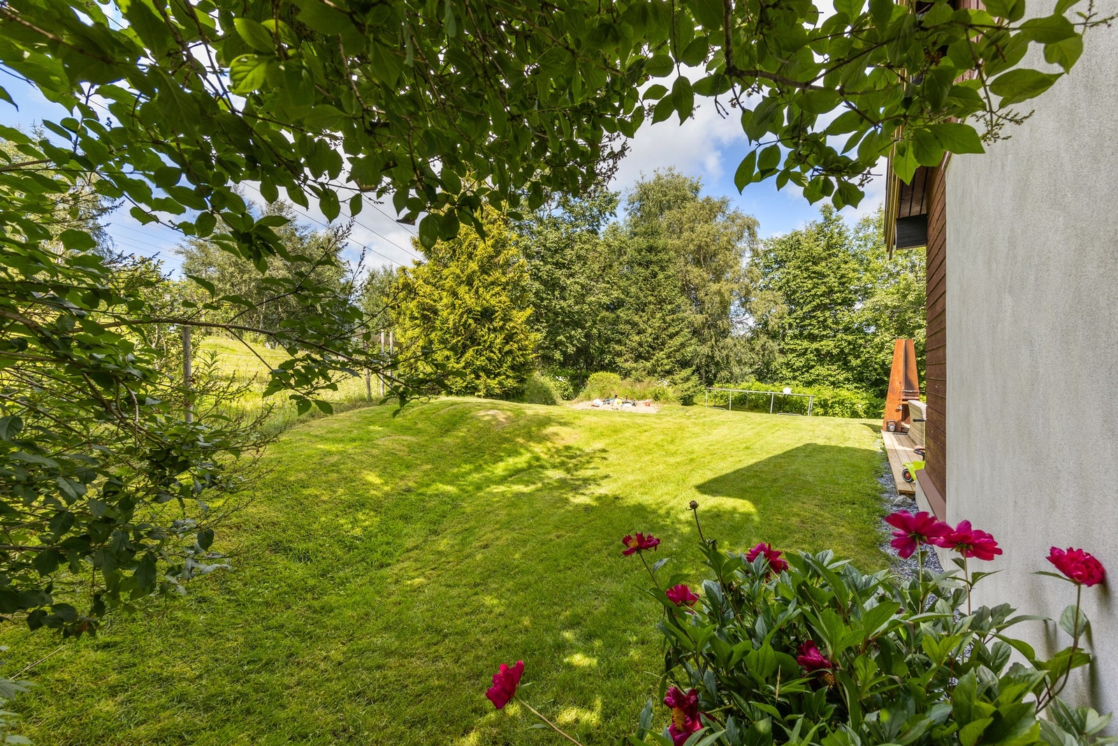 Frodig hage Galleribilde
