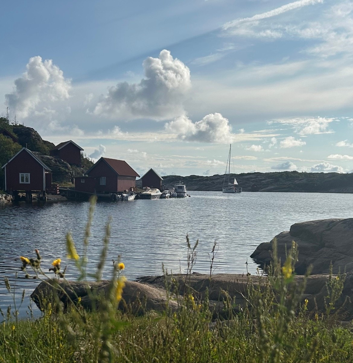 Fra Guttormsvauen kan du gå videre over til Kuvauen. Galleribilde