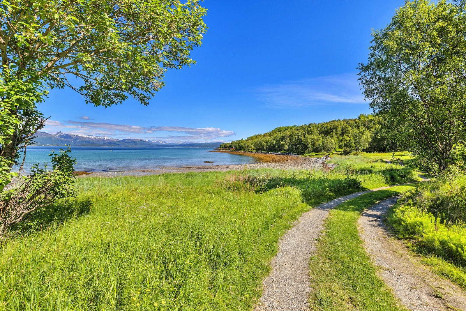 Stien munner ut i et idyllisk strandområde. Galleribilde