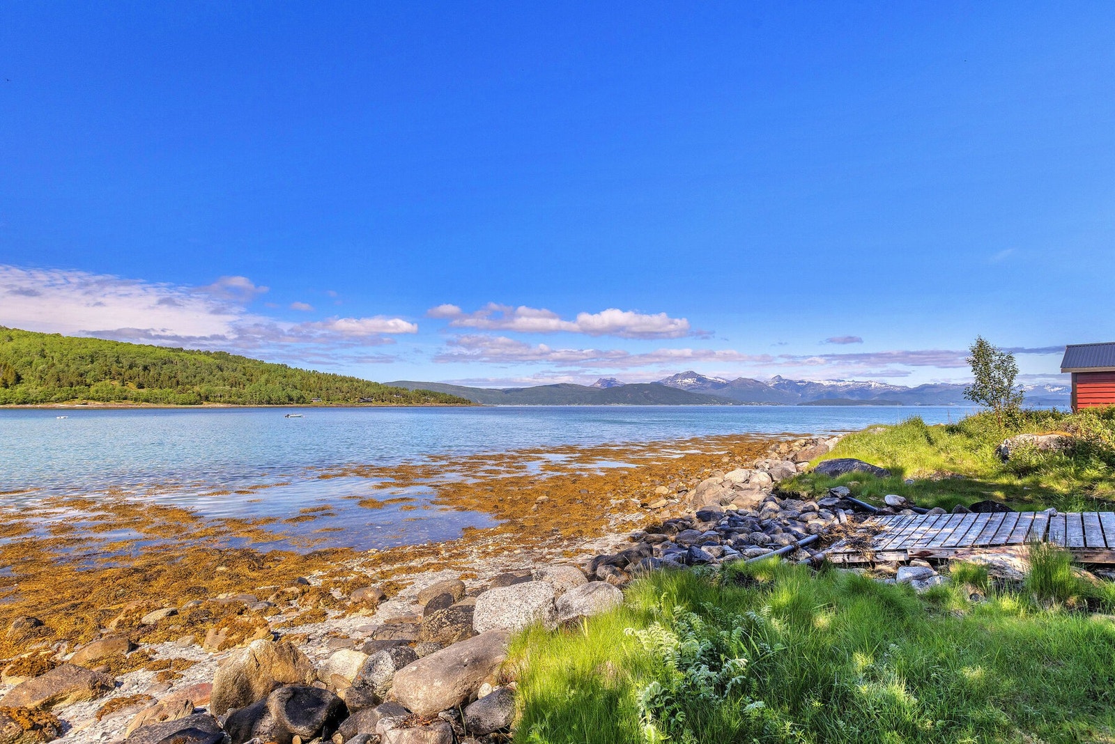 Utsikt over fjorden fra strandområdet. Galleribilde