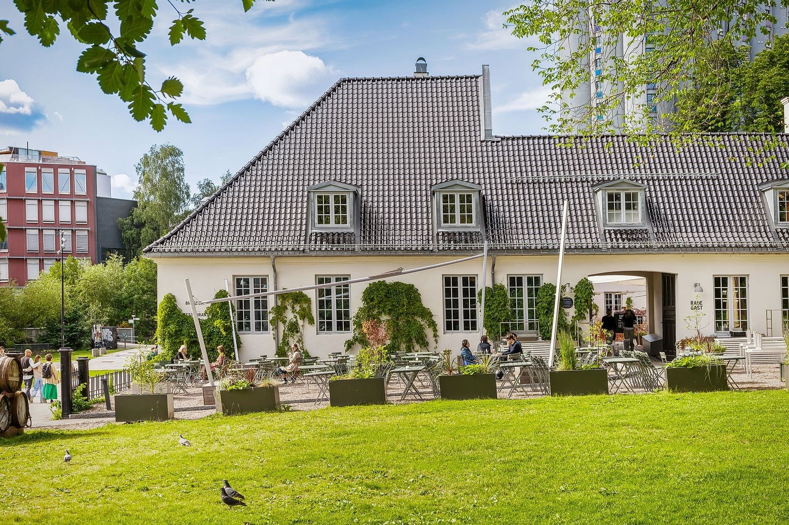 På Nedre Foss gård kan du nyte deilig sesongbasert mat i en restaurert gårdsbygning fra 1800-tallet. Galleribilde