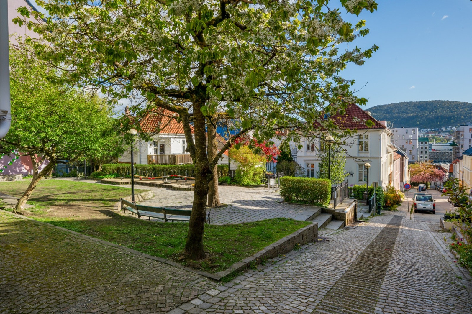 Herifra er det kort vei til flotte parker, som for eksempel Apotekerhagen som ligger like ved. Galleribilde