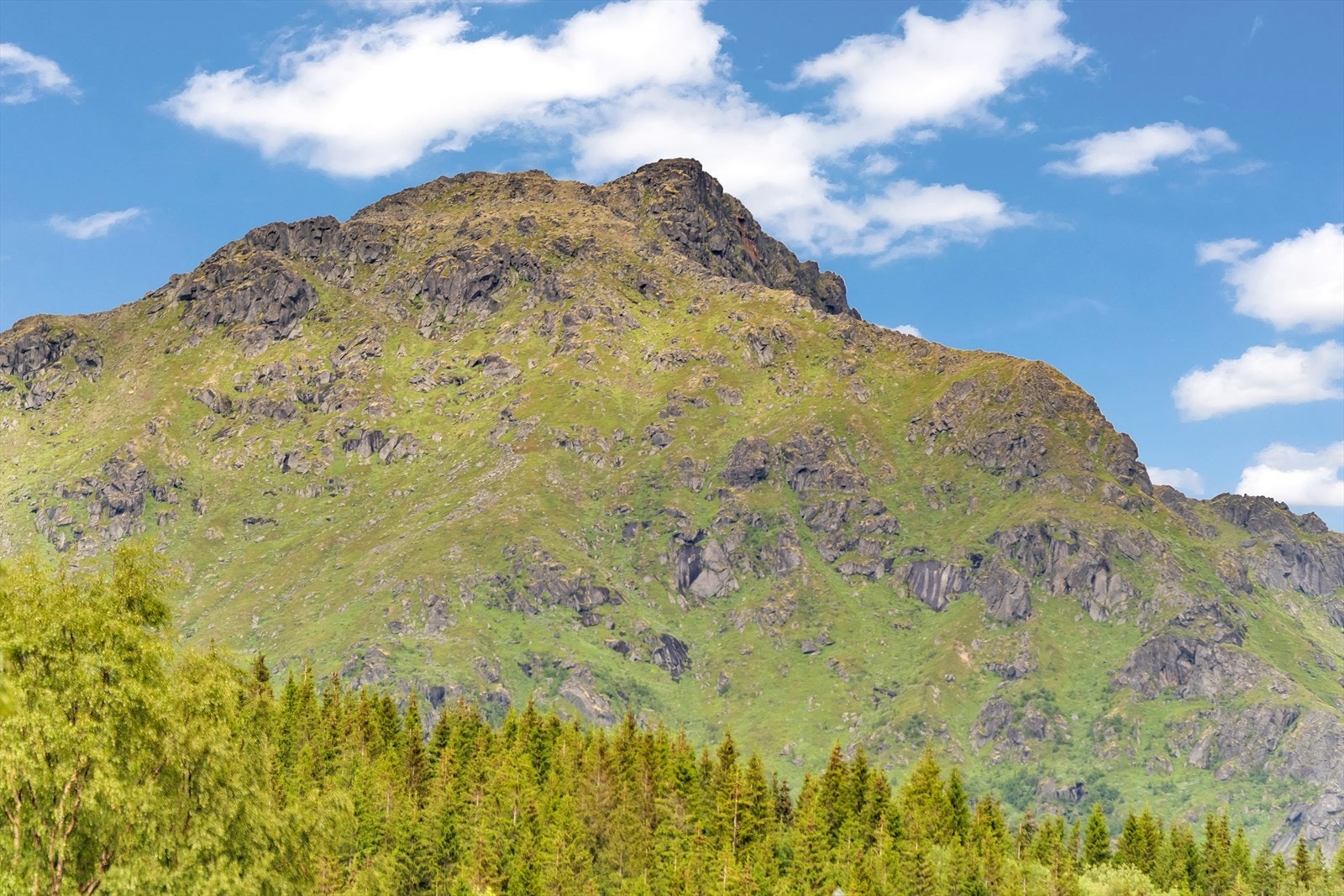 Nærhet til storslått natur med fjell og fjord. Galleribilde