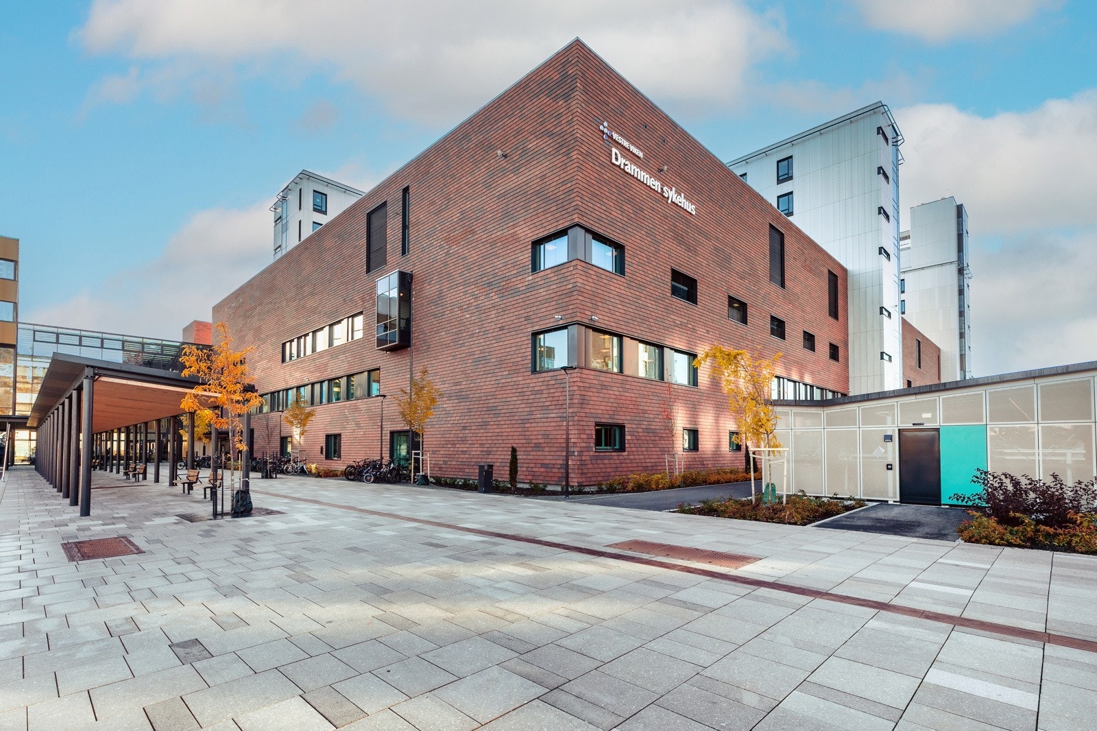 Helseparken Galleribilde