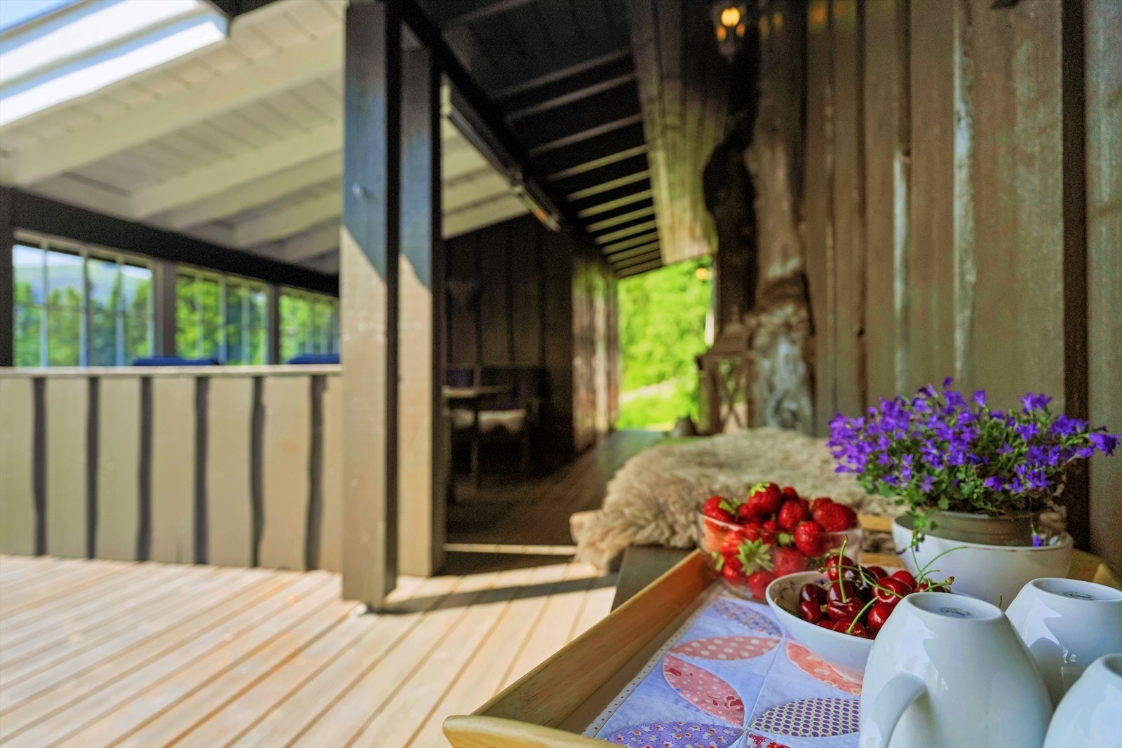 Hyttens uteområder og beliggenhet innbyr til utendørsaktiviteter både i sommer- og vinterhalvåret! Galleribilde