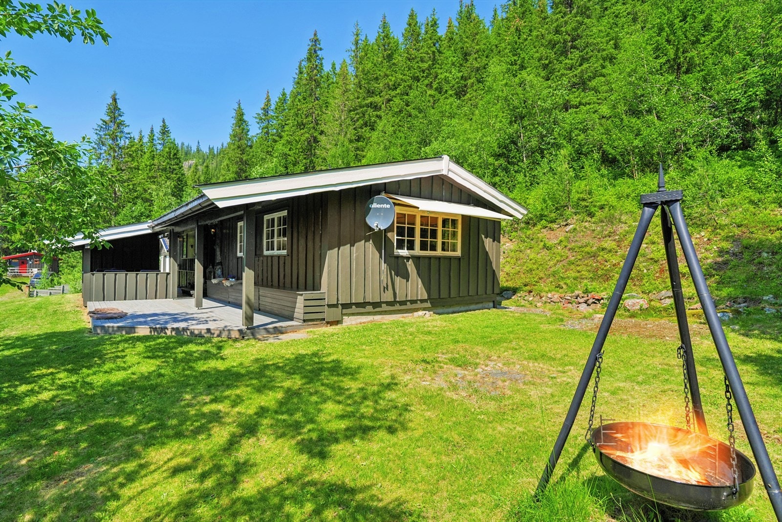 Med nærhet til både alpinanlegg og langrennsløyper byr området på flotte naturopplevelser året rundt! Galleribilde