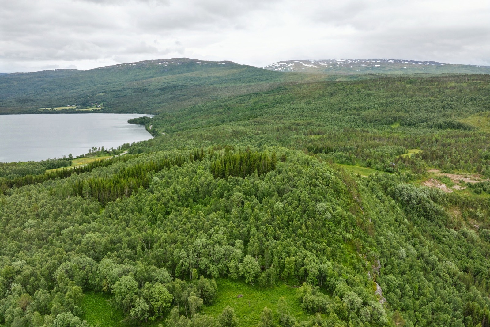 Store skog- og naturområder i umiddelbar nærhet Galleribilde