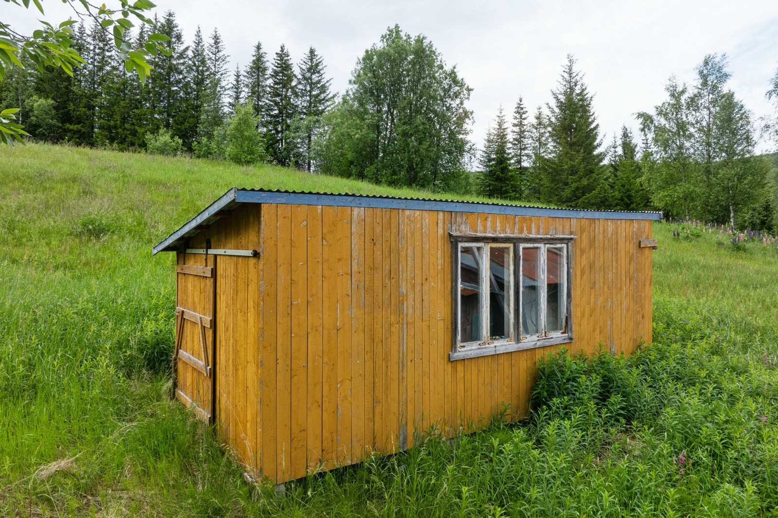 Uthus på 16 m² BTA, oppført i tre Galleribilde