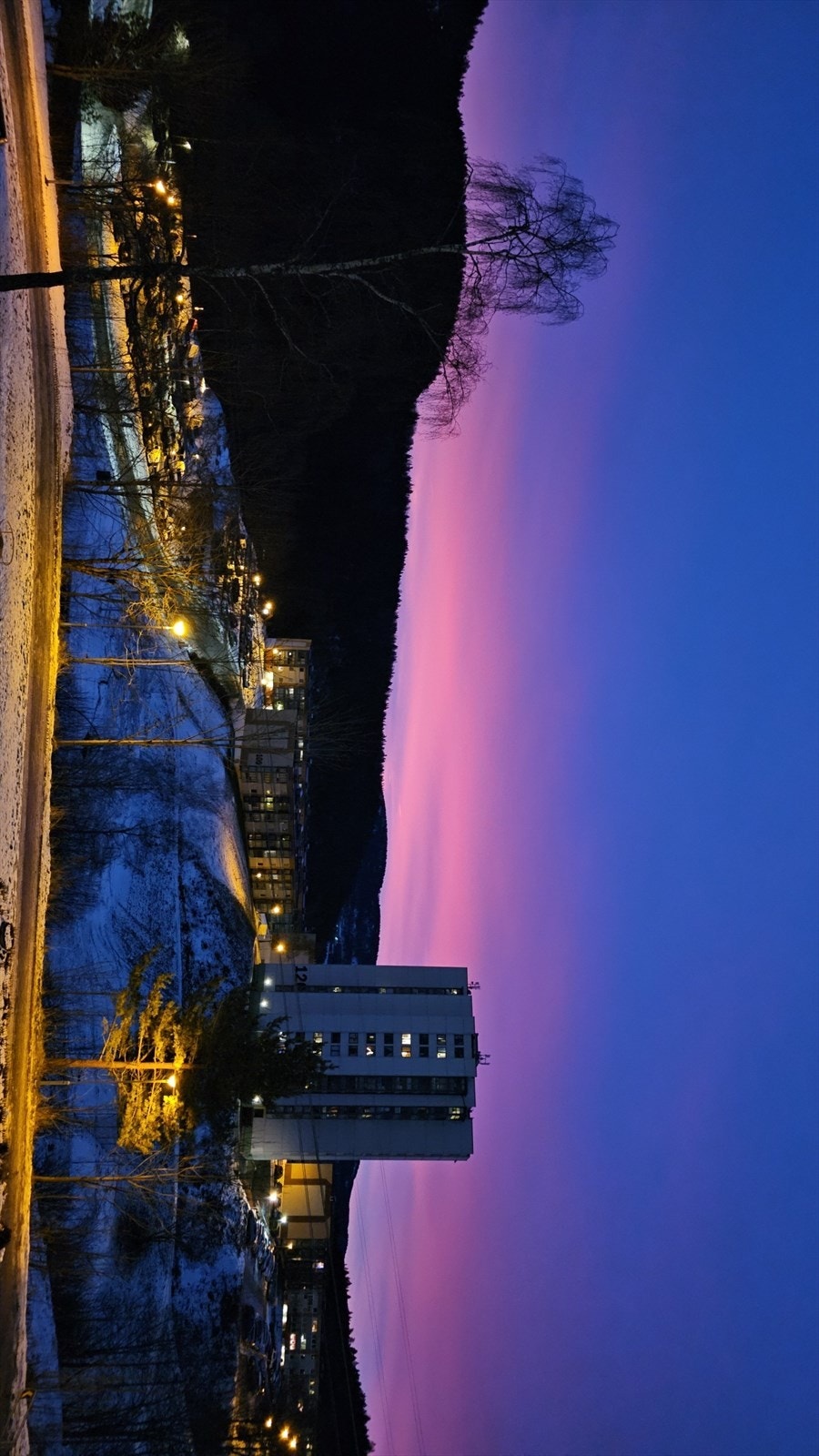 Selgers private bilder. Galleribilde