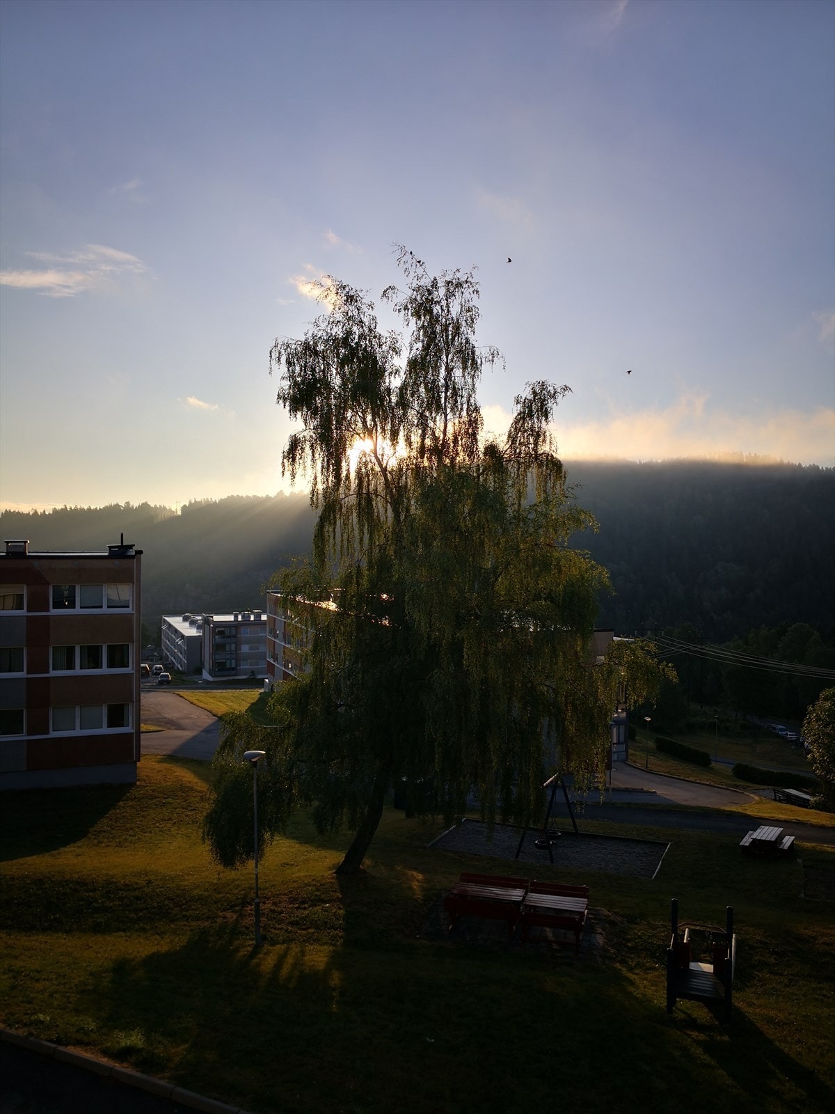 Selgers private bilder. Galleribilde