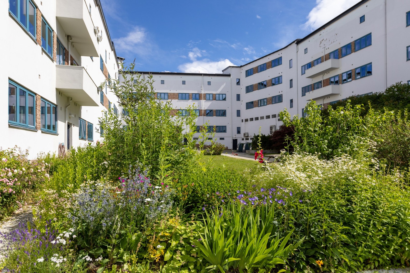 Populær gård med god vedlikeholdshistorikk! Blant annet balansert ventilasjon og nyere vinduer. Galleribilde