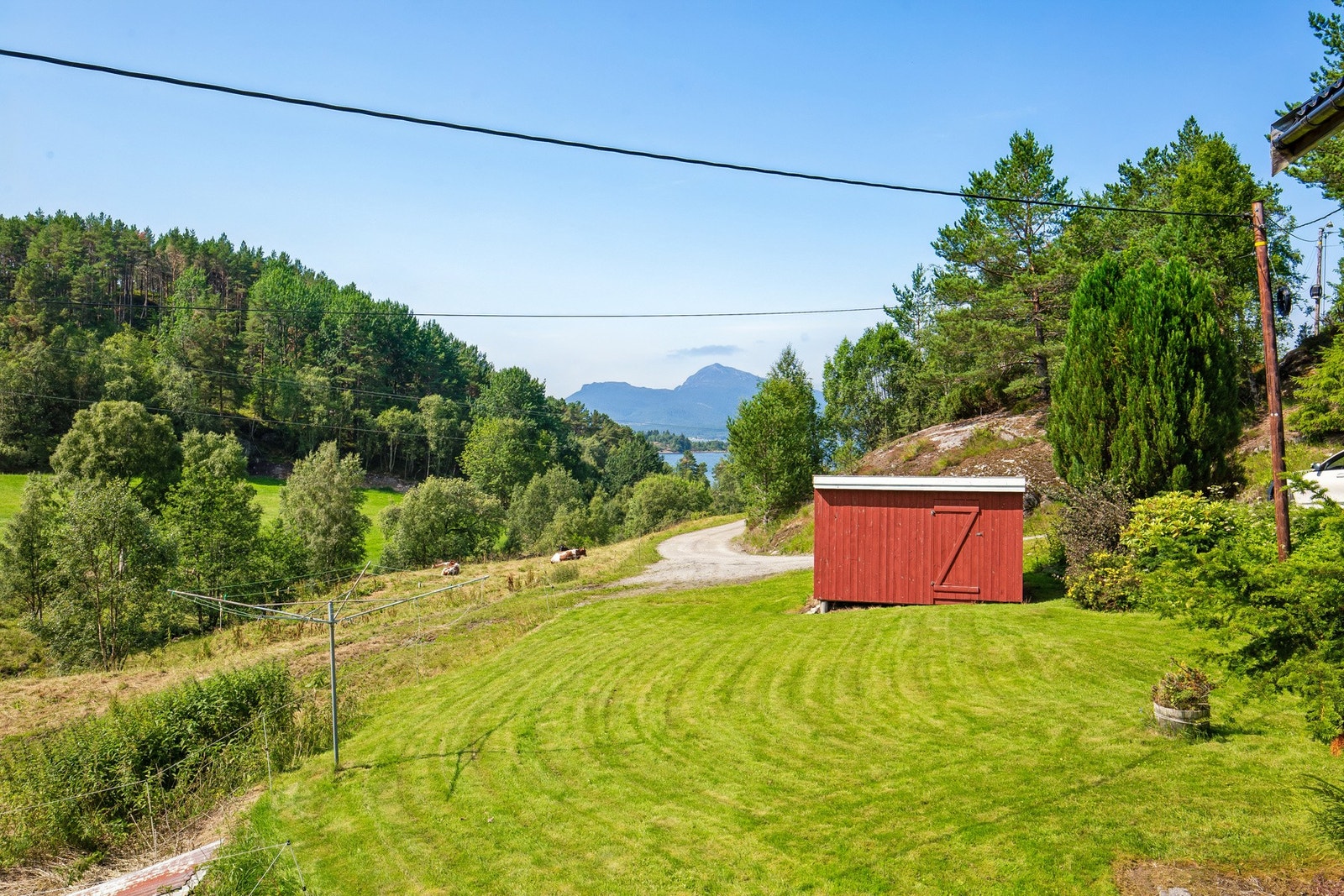 Bilde fra tunet Galleribilde