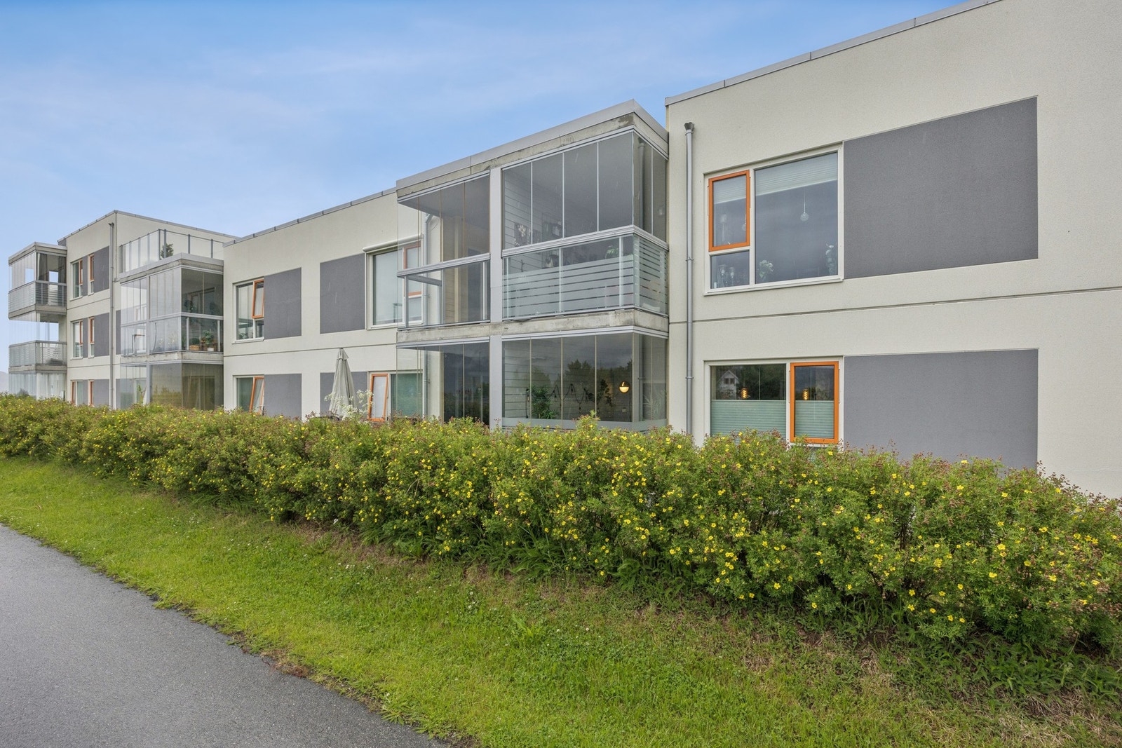 Moderne bygningsmasse med vedlikeholdsvennlige vinduer i tre og aluminium. Galleribilde