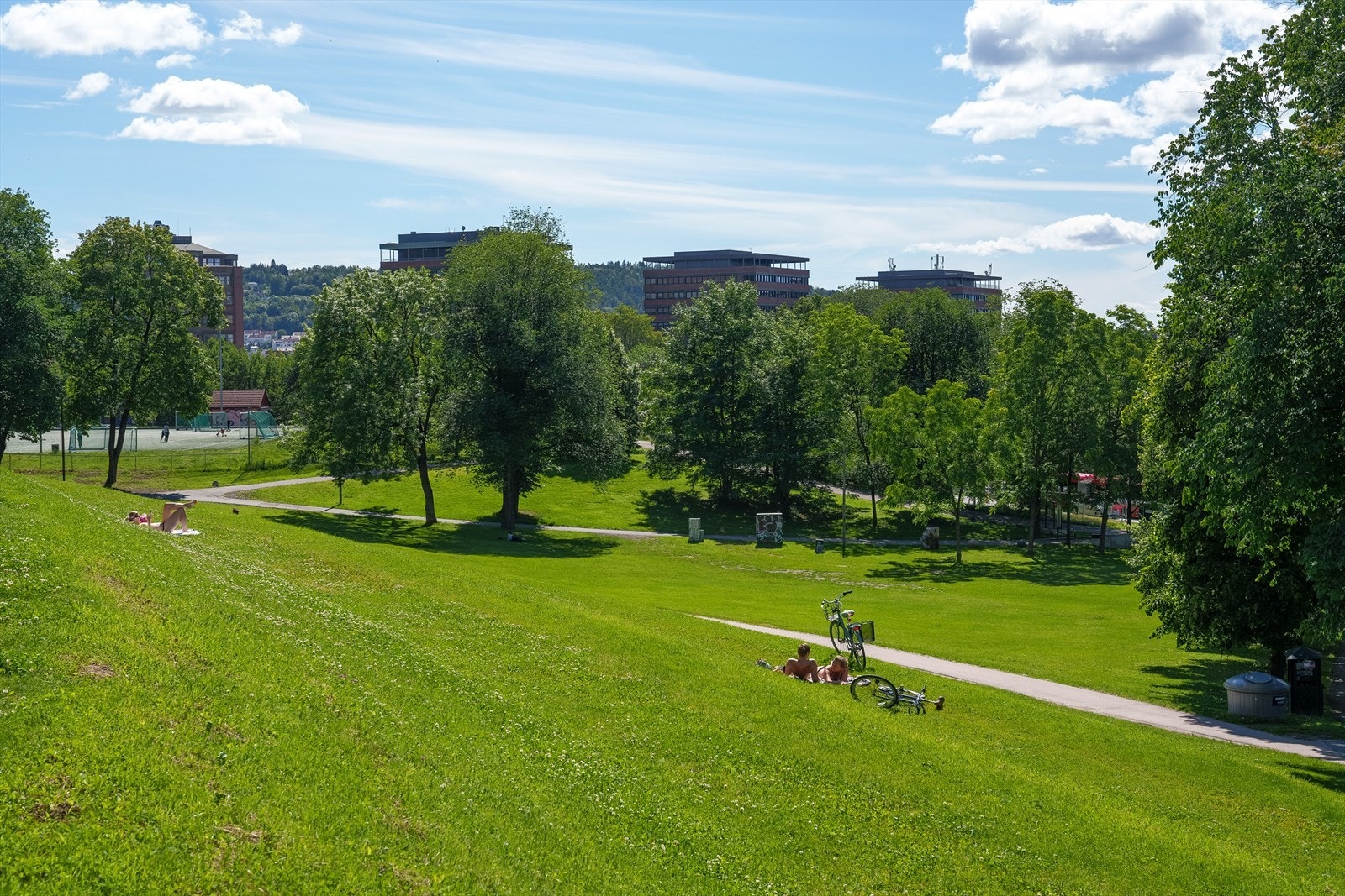 Tøyenparken er et av Oslos mest populære grøntområder og byr på store gressletter, flotte utsiktspunkter og gode rekreasjonsmuligheter året rundt, kun 500 m fra leiligheten. Galleribilde