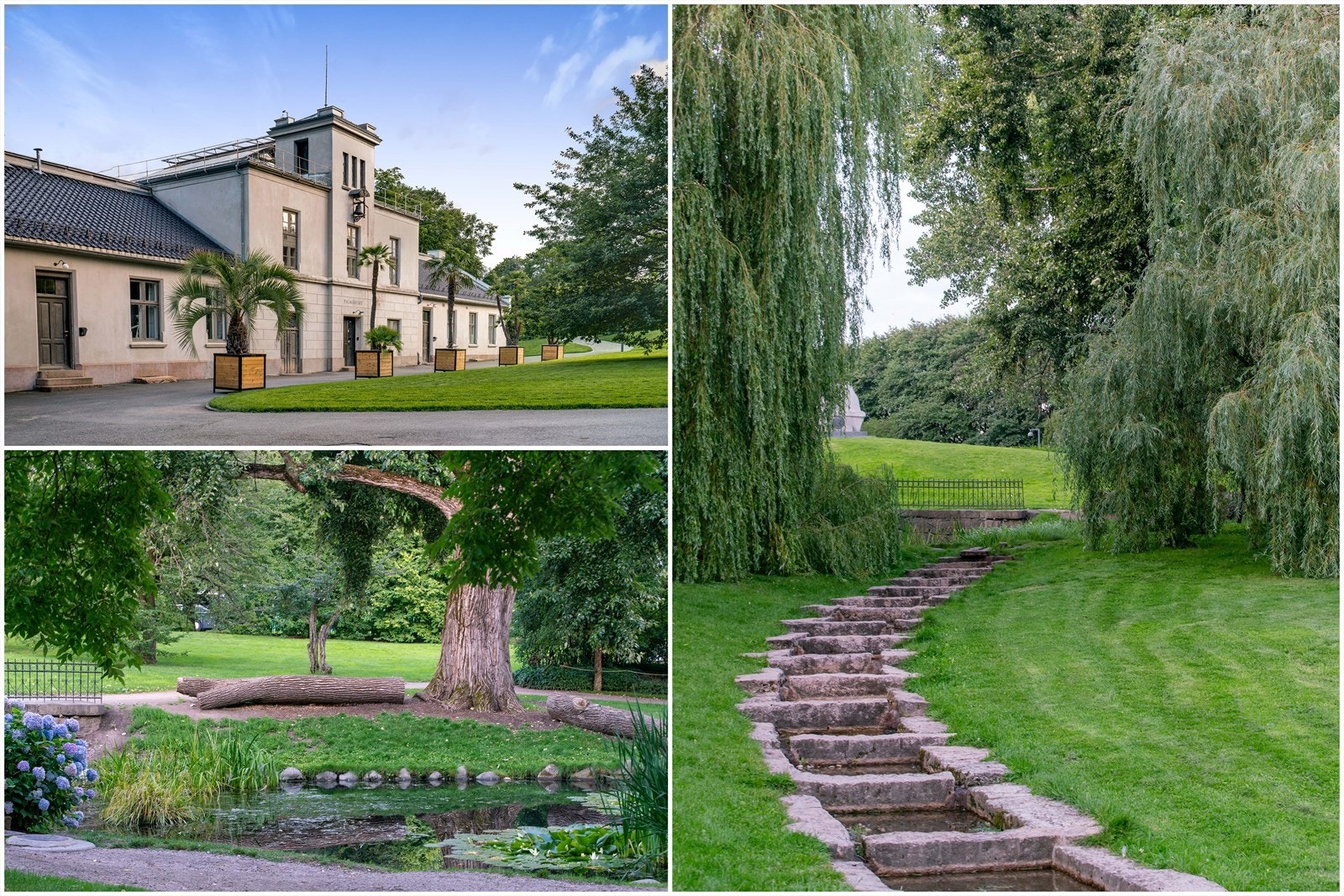 Botanisk Hage på Tøyen, byens vakreste park ligger like nedi gata. Galleribilde