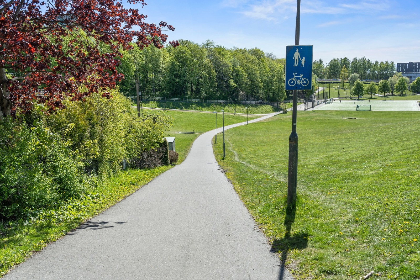 Turstier langs asfalt eller ut i marka er noen av kvalitetene i området Galleribilde