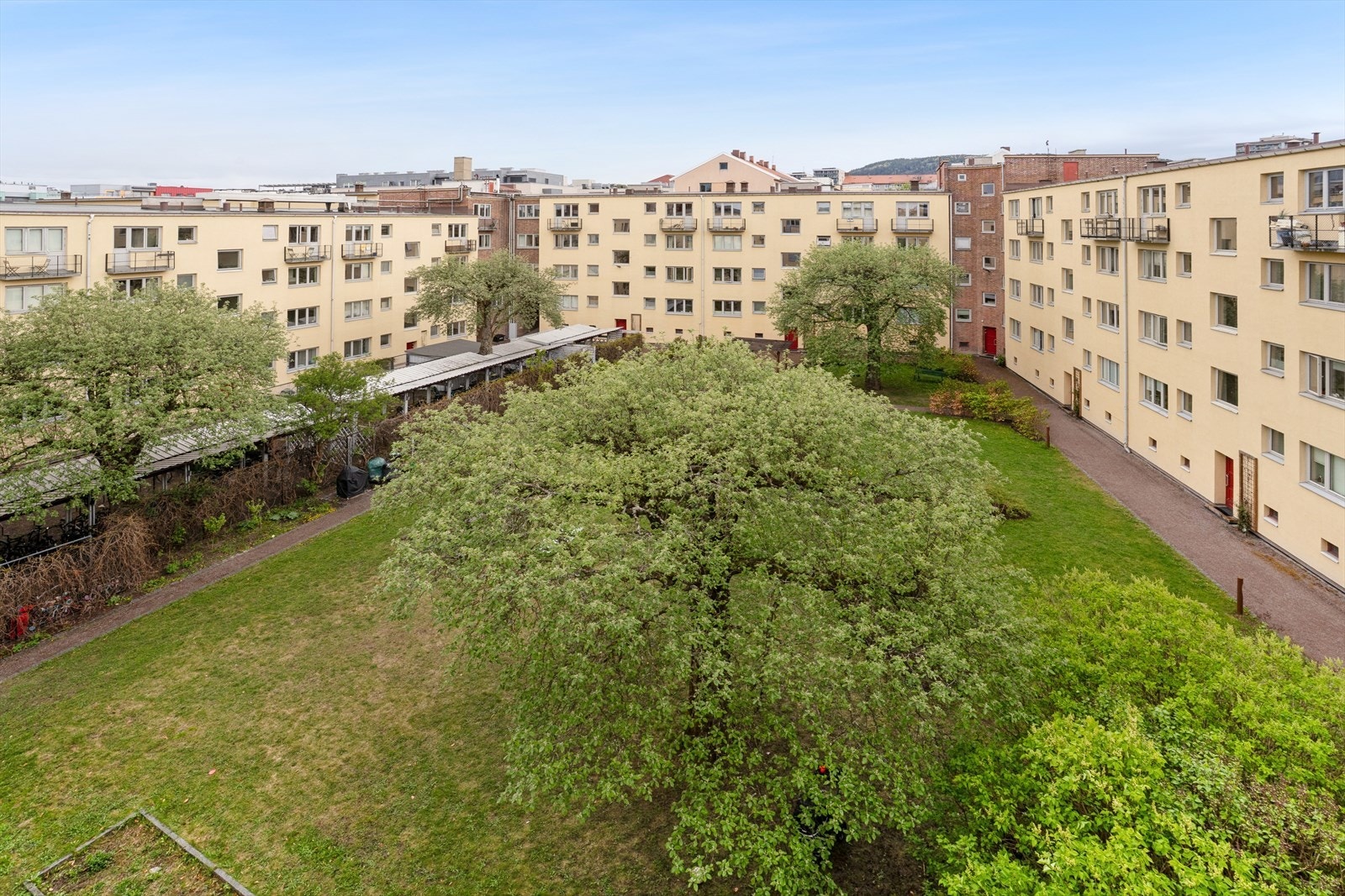 I sommerhalvåret er bakgården en grønn oase med sittegrupper og beplantning Galleribilde