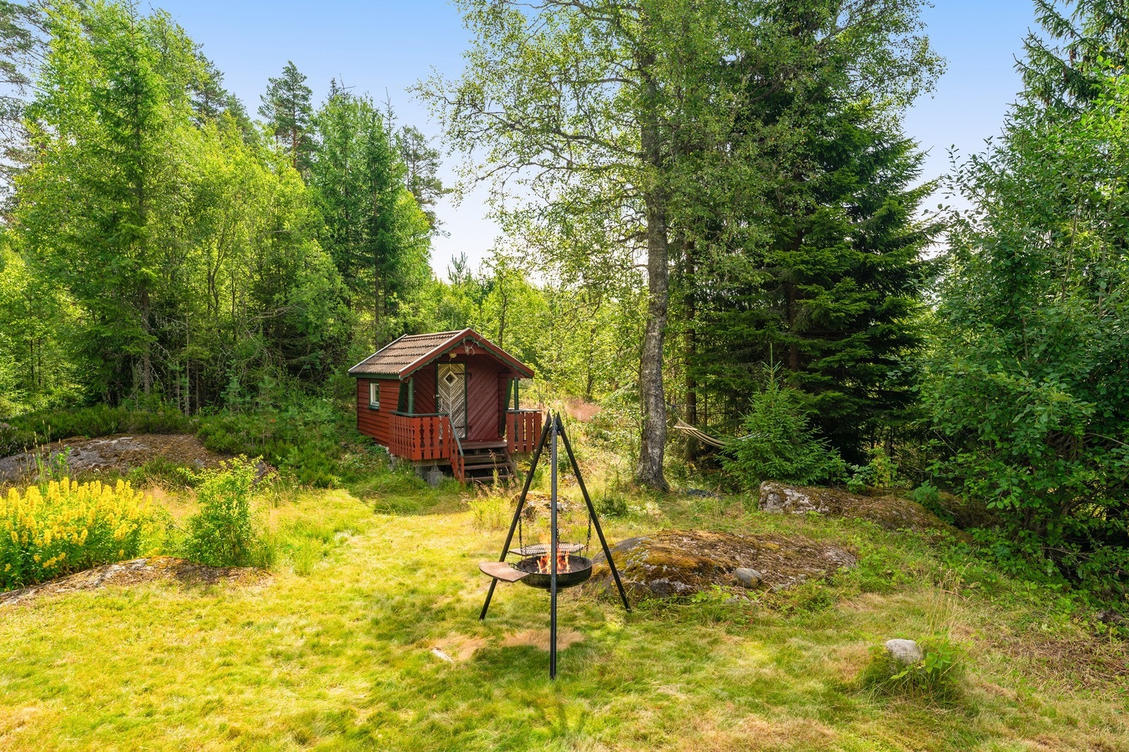 Pent opparbeidet hage som er enkel å vedlikeholde Galleribilde