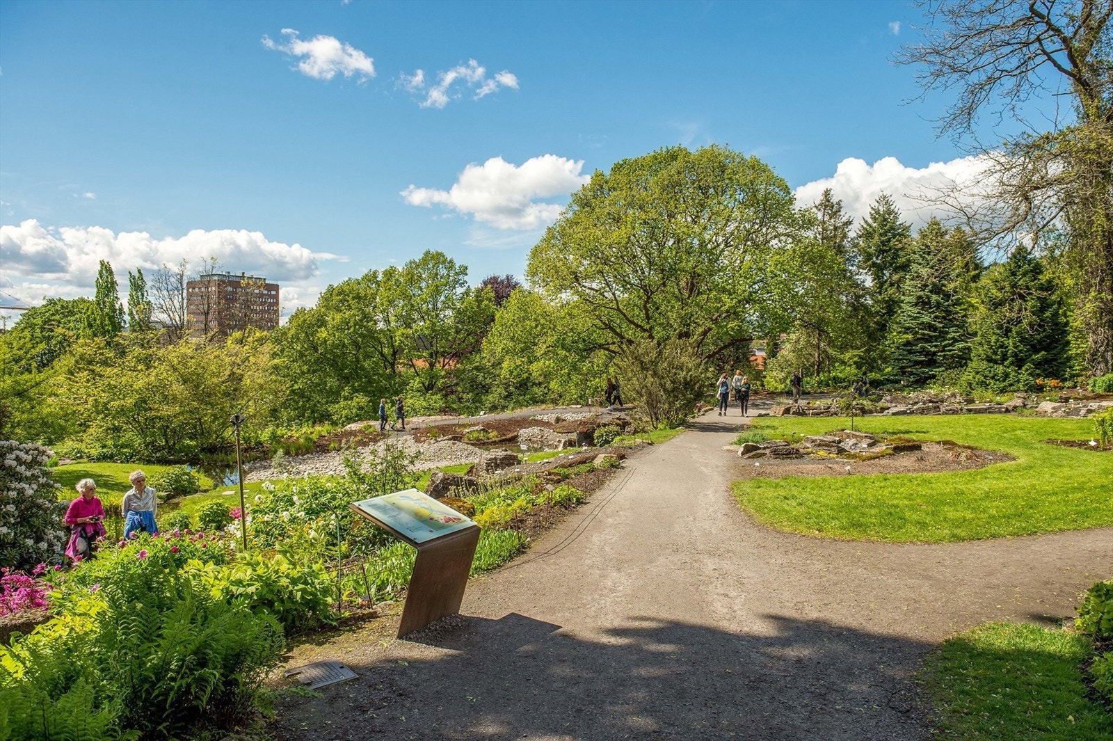 Idylliske botanisk hage er kun en kort spasertur unna boligen. Absolutt verdt besøket på sommerstid! Galleribilde