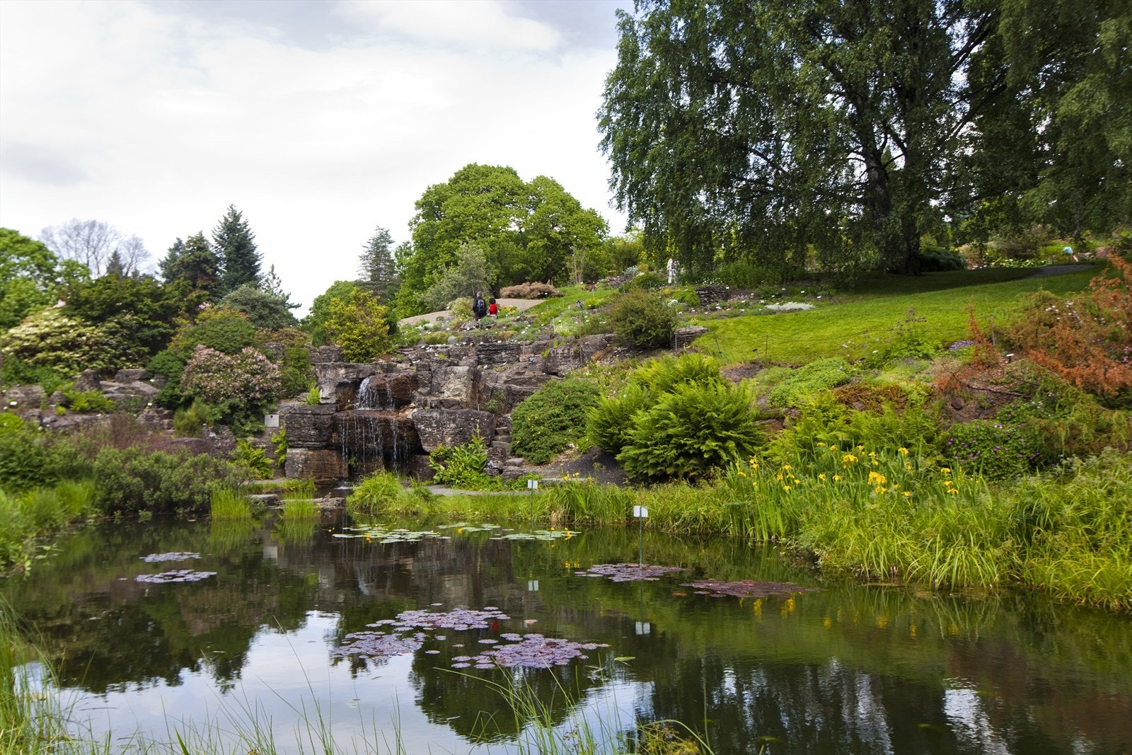 Nærområde - Botanisk hage Galleribilde