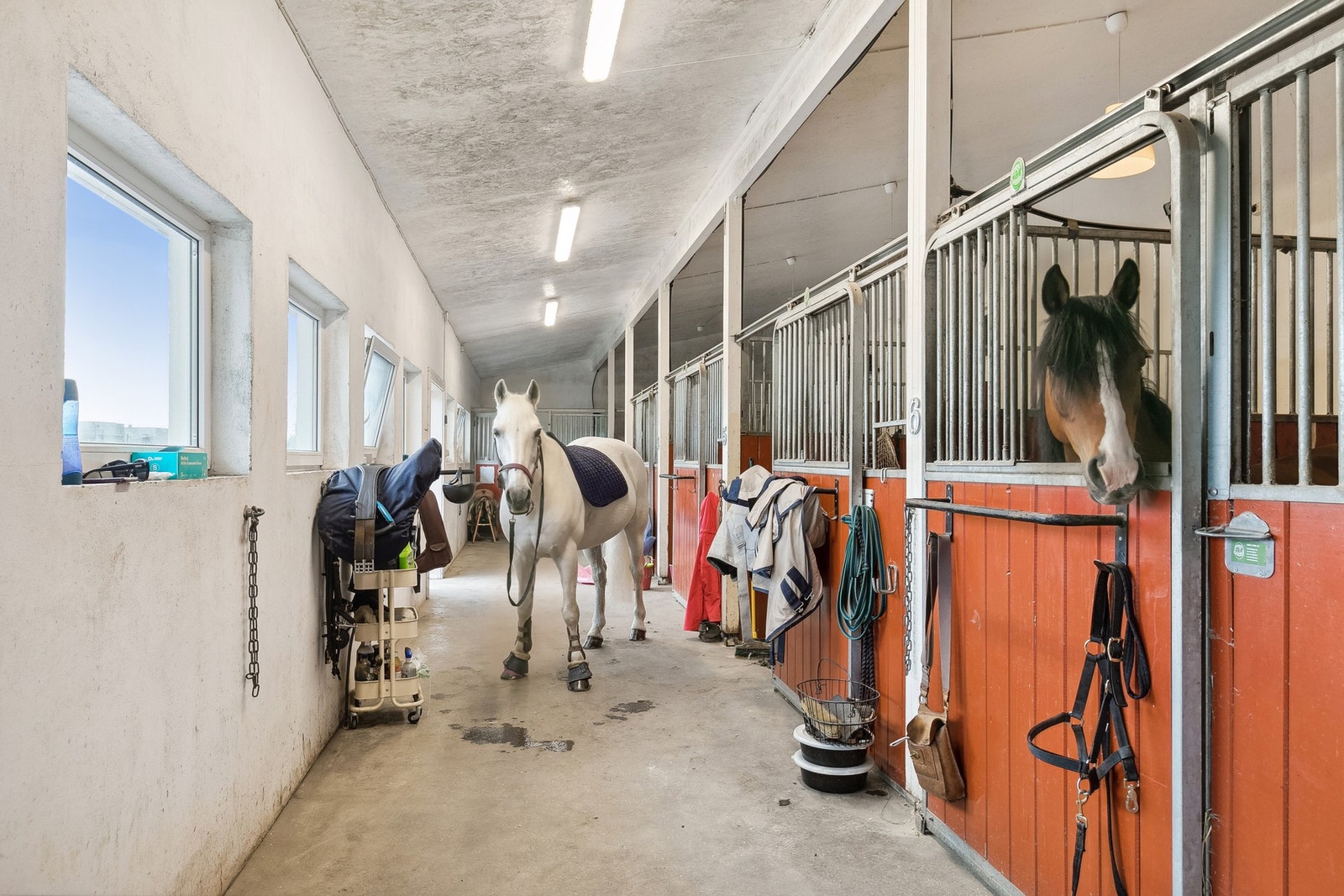 Stallen inneholder 8 stallbokser og vender ut mot hesteanlegget og ridebanen Galleribilde