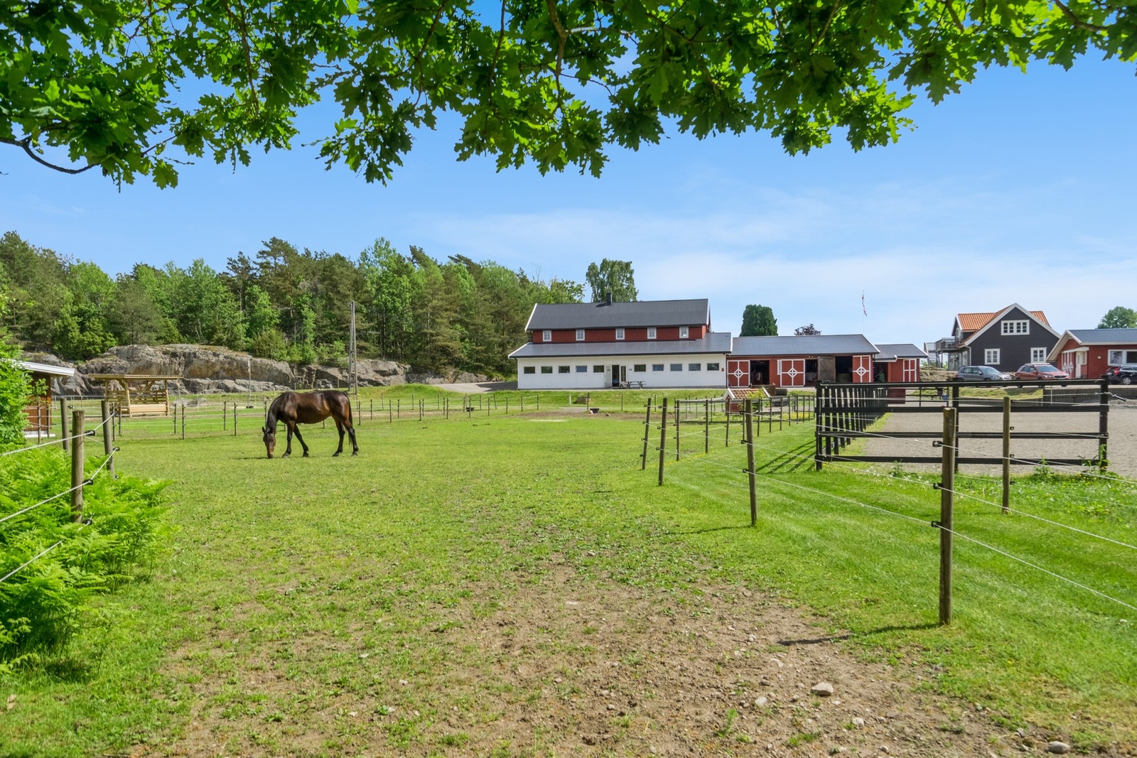 Store, fine utearealer for hest Galleribilde