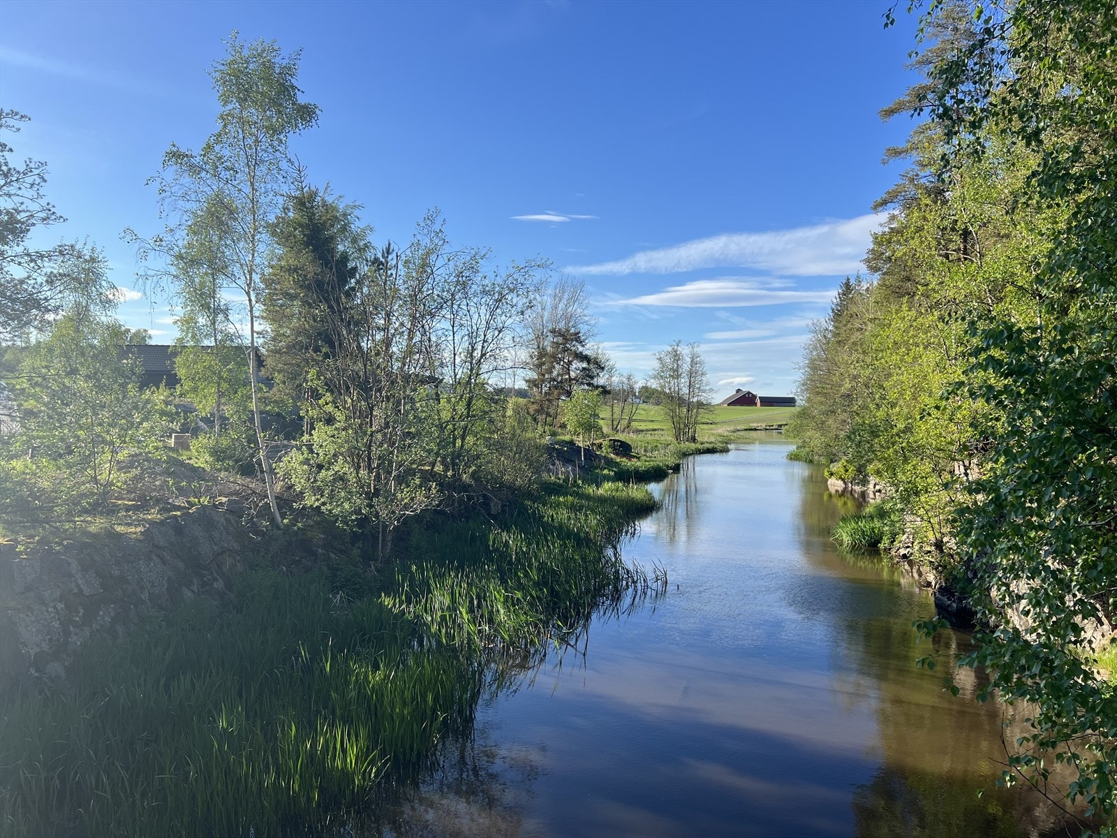Selgers bilde. Galleribilde
