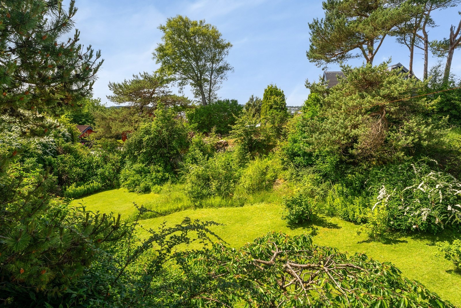 Nydelig hage med plen og rik beplantning. Galleribilde