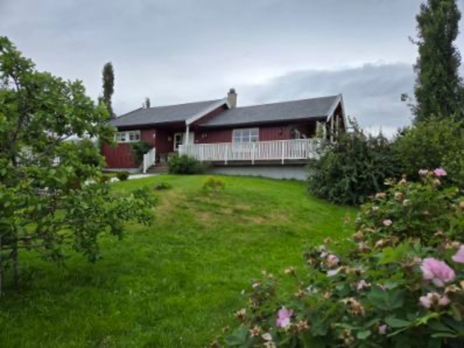 Bilde tatt av selger Galleribilde