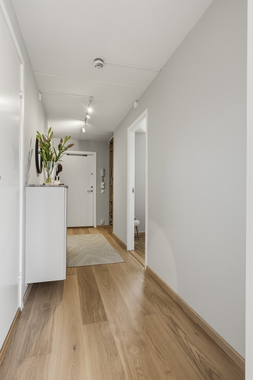 Boligen har enerett til bruk av 1 sportsbod i kjeller på 5 m² Galleribilde