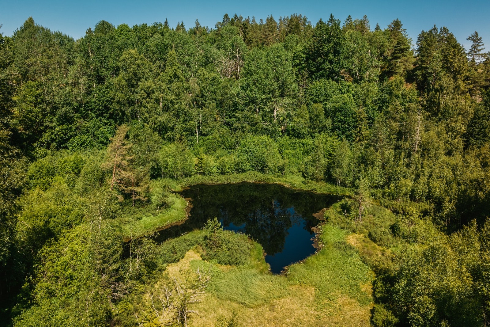 Vierrønningtjernet ligger på eiendommen. Galleribilde