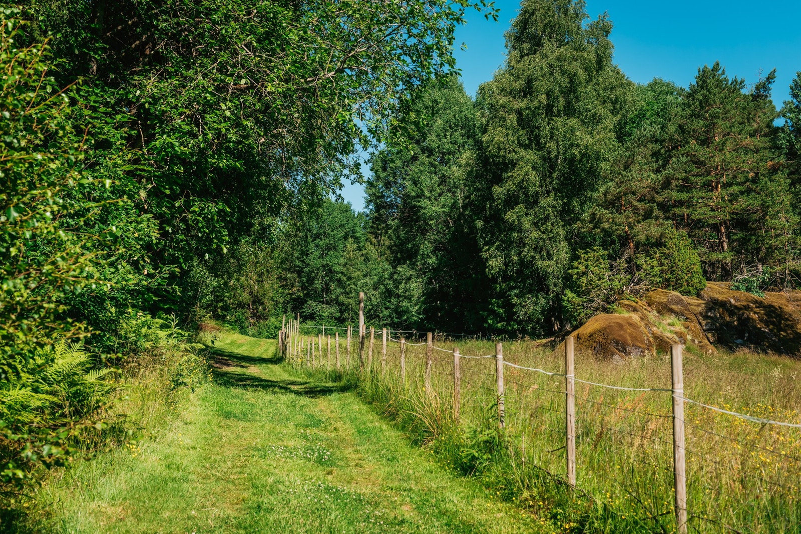 Omkranset av vakker natur kan de minste gå på oppdagelsesferd på egen tomt. Galleribilde