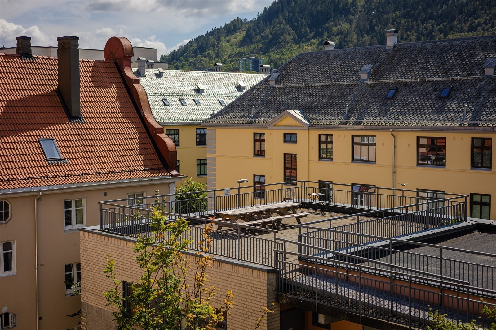 Felles solrik takterrasse Galleribilde