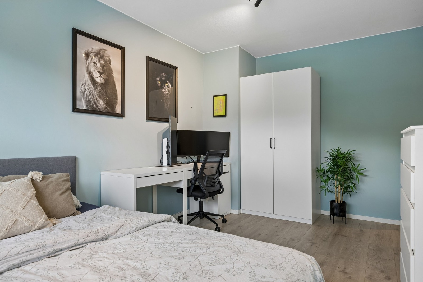 Gode møbeleringsmuligheter. Galleribilde