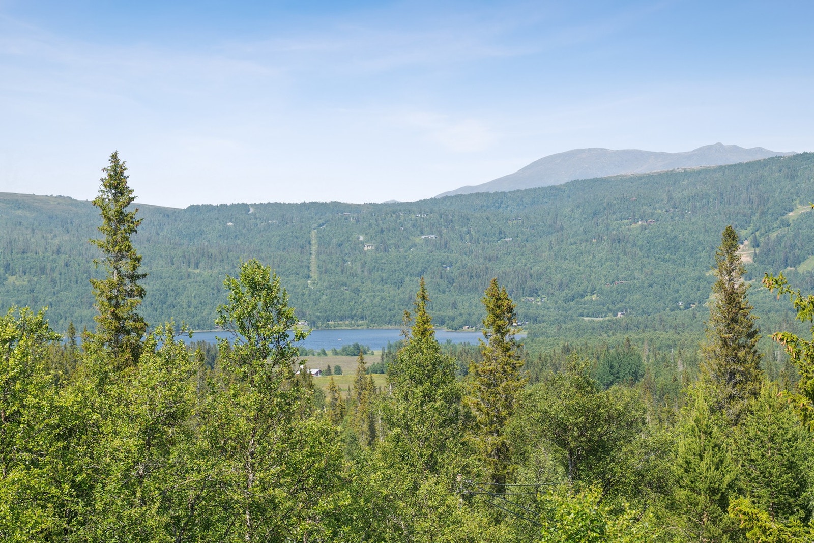 Flott utsikt over naturlandskapet. Velkommen til visning! Galleribilde