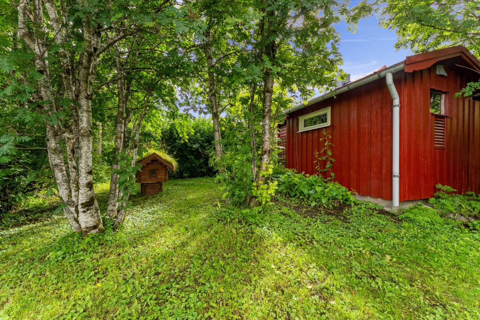 Grønt og frodig uteområde med flere små bygg. Galleribilde